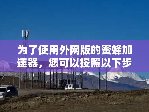 为了使用外网版的蜜蜂加速器,您可以按照以下步骤操作