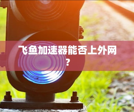 飞鱼加速器能否上外网？