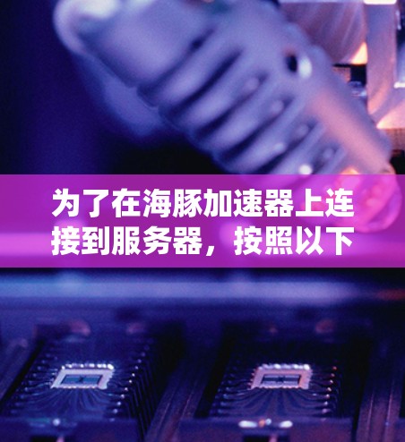 为了在海豚加速器上连接到服务器,按照以下步骤进行操作 为了在海豚加速器上连接到服务器,按照以下步骤进行操作