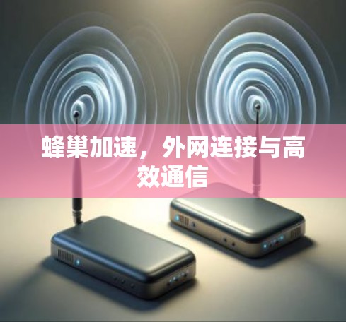 蜂巢加速,外网连接与高效通信 蜂巢加速,外网连接与高效通信