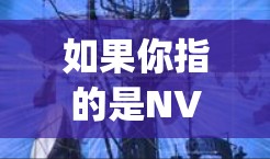 如果你指的是NVP(Net Variety Package)作为外网加速器的工具,那么以下几点可以提供一些有用的信息 如果你指的是NVP(Net Variety Package)作为外网加速器的工具,那么以下几点可以提供一些有用的信息