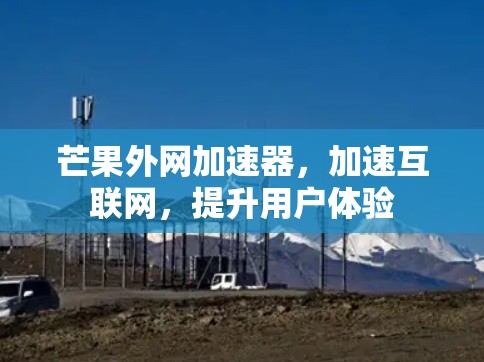 芒果外网加速器，加速互联网，提升用户体验