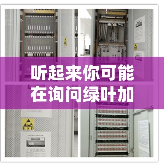 听起来你可能在询问绿叶加速器这个词或相关的工具或服务。如果你指的是一个特定的加速器或工具,可能需要更多信息来提供准确的帮助。以下是关于绿叶加速器的一些常见信息,供你参考 听起来你可能在询问绿叶加速器这个词或相关的工具或服务。如果你指的是一个特定的加速器或工具,可能需要更多信息来提供准确的帮助。以下是关于绿叶加速器的一些常见信息,供你参考