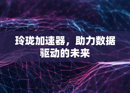 玲珑加速器,助力数据驱动的未来 玲珑加速器,助力数据驱动的未来