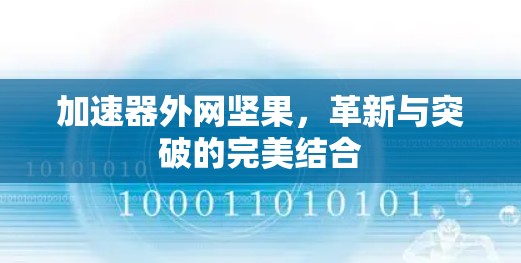 加速器外网坚果，革新与突破的完美结合
