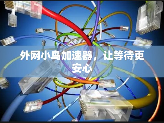 外网小鸟加速器,让等待更安心 外网小鸟加速器,让等待更安心