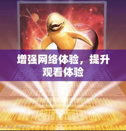 增强网络体验,提升观看体验 增强网络体验,提升观看体验