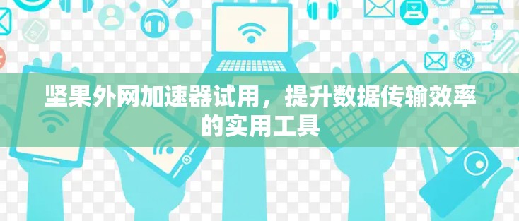 坚果外网加速器试用,提升数据传输效率的实用工具 坚果外网加速器试用,提升数据传输效率的实用工具
