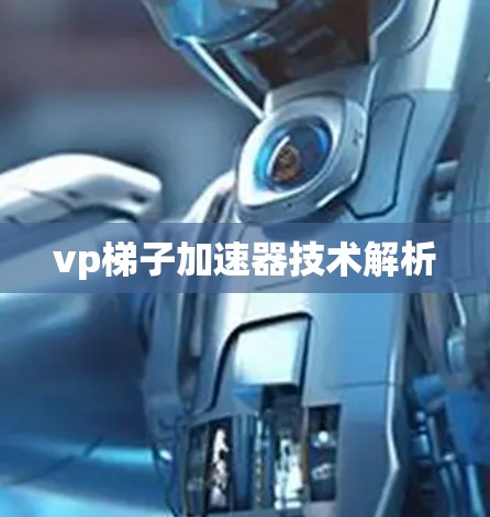 vp梯子加速器技术解析