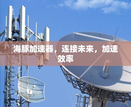 海豚加速器，连接未来，加速效率