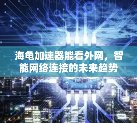 海龟加速器能看外网,智能网络连接的未来趋势 海龟加速器能看外网,智能网络连接的未来趋势