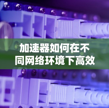 加速器如何在不同网络环境下高效运行?全面解析支持外网的配置与使用技巧 加速器如何在不同网络环境下高效运行?全面解析支持外网的配置与使用技巧