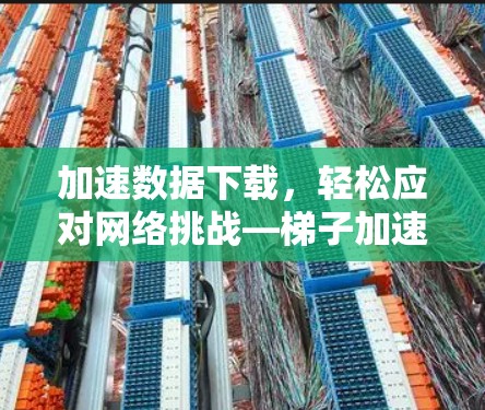 加速数据下载,轻松应对网络挑战—梯子加速器外网推荐 加速数据下载,轻松应对网络挑战—梯子加速器外网推荐