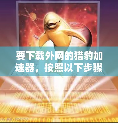 要下载外网的猎豹加速器，按照以下步骤操作