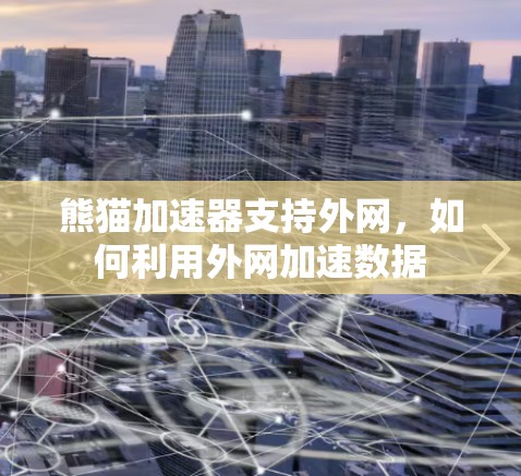 熊猫加速器支持外网,如何利用外网加速数据 熊猫加速器支持外网,如何利用外网加速数据