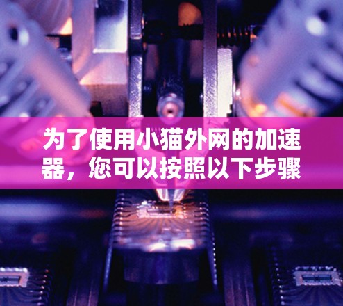 为了使用小猫外网的加速器，您可以按照以下步骤操作