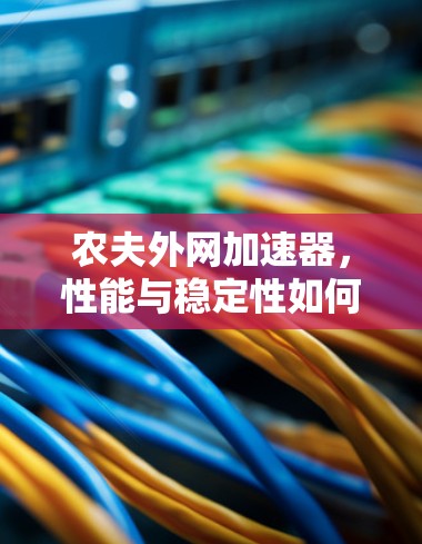 农夫外网加速器，性能与稳定性如何？