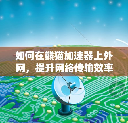 如何在熊猫加速器上外网，提升网络传输效率的实用指南