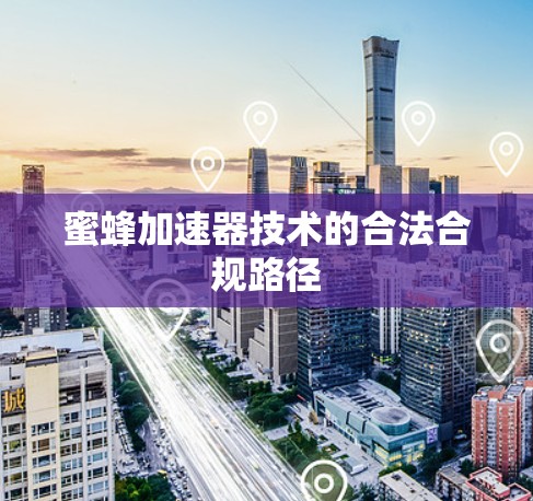 蜜蜂加速器技术的合法合规路径