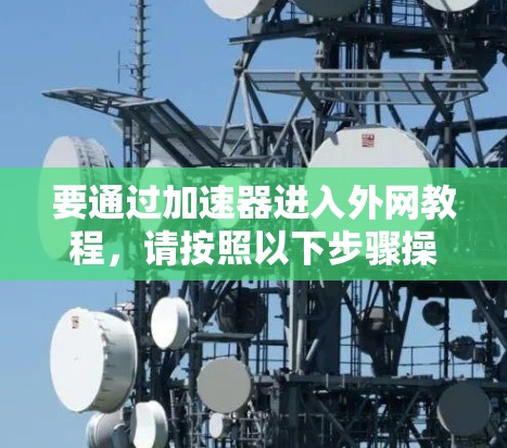 要通过加速器进入外网教程，请按照以下步骤操作