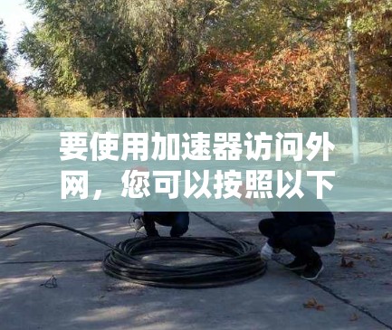 要使用加速器访问外网,您可以按照以下步骤操作 要使用加速器访问外网,您可以按照以下步骤操作