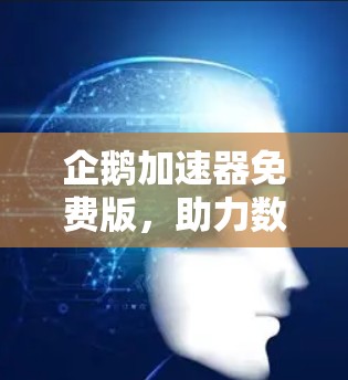 企鹅加速器免费版，助力数据流量管理的完美解决方案
