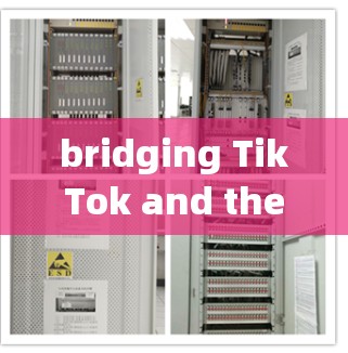bridging TikTok and the Internet:The Ultimate Guide to tиtok专用外网加速器