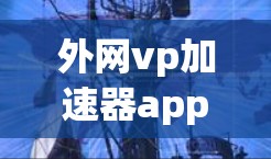 外网vp加速器app,助力通信工程师提升数据传输效率 外网vp加速器app,助力通信工程师提升数据传输效率