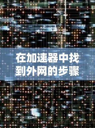 在加速器中找到外网的步骤如下