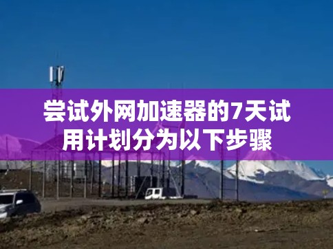 尝试外网加速器的7天试用计划分为以下步骤