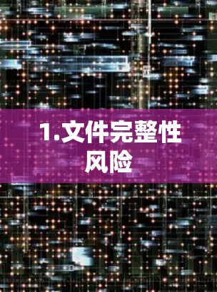 1.文件完整性风险 1.文件完整性风险