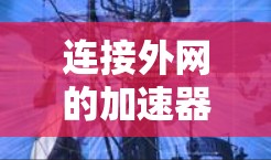 连接外网的加速器免费使用指南