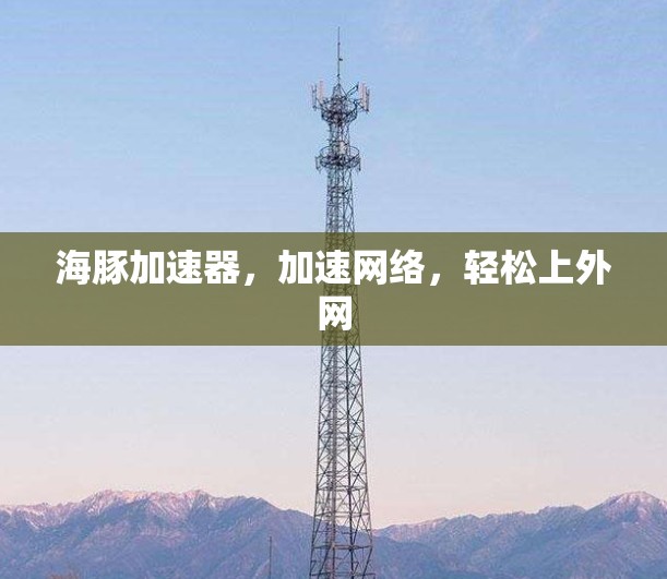 海豚加速器，加速网络，轻松上外网