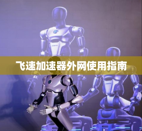飞速加速器外网使用指南