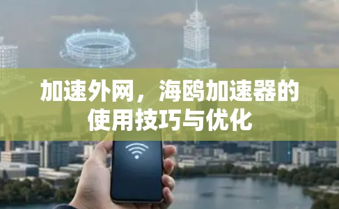 加速外网，海鸥加速器的使用技巧与优化