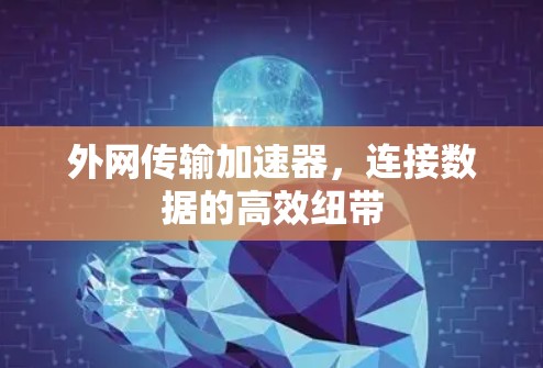 外网传输加速器,连接数据的高效纽带 外网传输加速器,连接数据的高效纽带