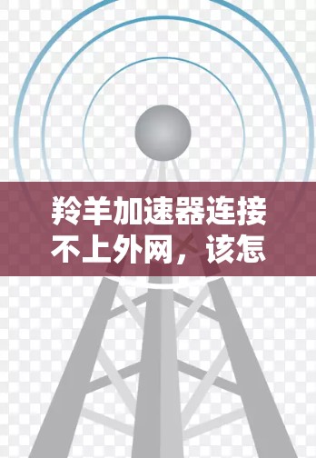 羚羊加速器连接不上外网,该怎么办? 羚羊加速器连接不上外网,该怎么办?