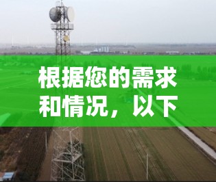 根据您的需求和情况,以下是针对您问题的详细建议 根据您的需求和情况,以下是针对您问题的详细建议