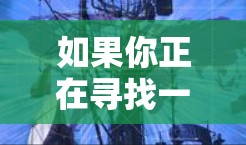 如果你正在寻找一种免费且功能广泛的加速器,同时支持不限时使用,以下是一些推荐的工具 如果你正在寻找一种免费且功能广泛的加速器,同时支持不限时使用,以下是一些推荐的工具
