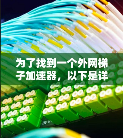 为了找到一个外网梯子加速器,以下是详细的建议和步骤 为了找到一个外网梯子加速器,以下是详细的建议和步骤