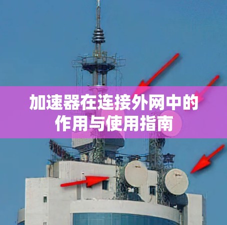 加速器在连接外网中的作用与使用指南