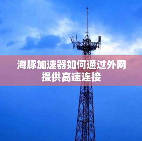 海豚加速器如何通过外网提供高速连接 海豚加速器如何通过外网提供高速连接