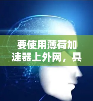 要使用薄荷加速器上外网,具体步骤可能因工具而异,以下是一些通用的步骤 要使用薄荷加速器上外网,具体步骤可能因工具而异,以下是一些通用的步骤