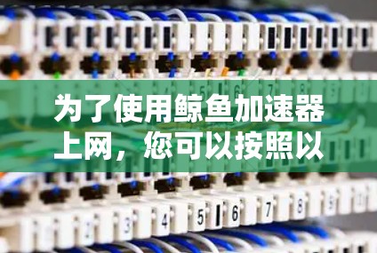 为了使用鲸鱼加速器上网,您可以按照以下步骤操作 为了使用鲸鱼加速器上网,您可以按照以下步骤操作