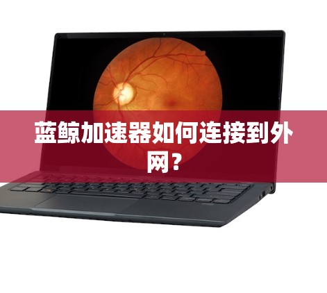 蓝鲸加速器如何连接到外网? 蓝鲸加速器如何连接到外网?