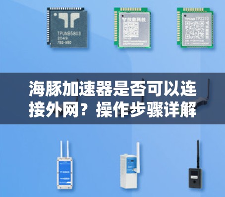 海豚加速器是否可以连接外网？操作步骤详解