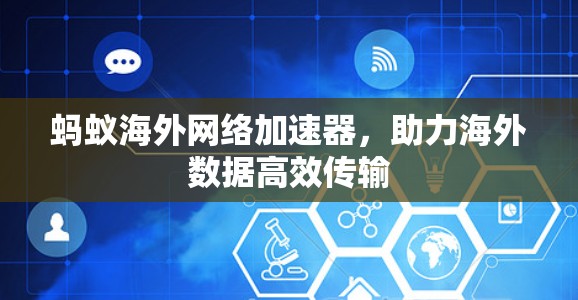 蚂蚁海外网络加速器，助力海外数据高效传输