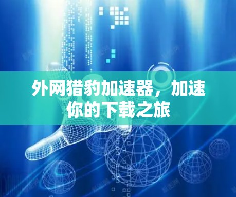 外网猎豹加速器，加速你的下载之旅