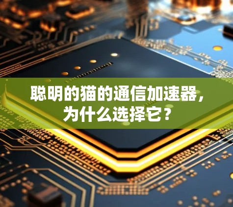 聪明的猫的通信加速器,为什么选择它? 聪明的猫的通信加速器,为什么选择它?