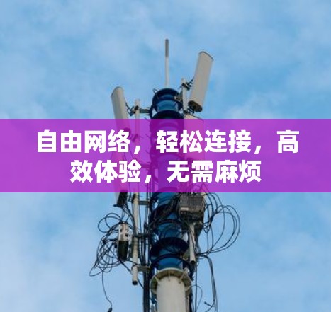 自由网络,轻松连接,高效体验,无需麻烦 自由网络,轻松连接,高效体验,无需麻烦